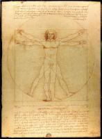 The Vitruvian Man