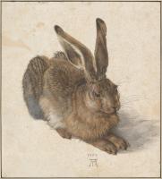 The Young Hare